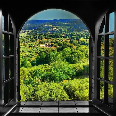 Villa Amalia Srls Gizzeria Exterior foto