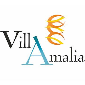 Amalia Srls Gizzeria